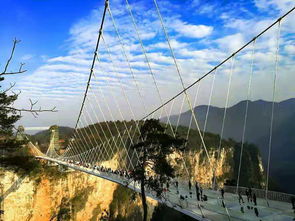 湛江玻璃桥旅游景点在哪里
