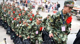 当兵入伍要求
