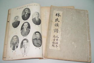 林氏家族
