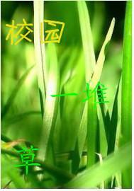 一堆草,打一种花。谜语谁能猜对?