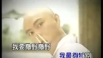我要撒野
