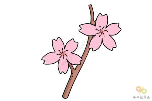 樱花怎么画
