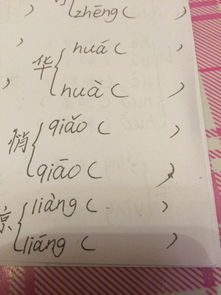 肖的多音字组词
