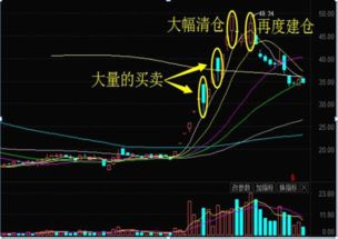 换手率高股价不涨
