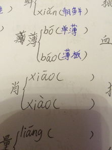 肖的多音字组词.