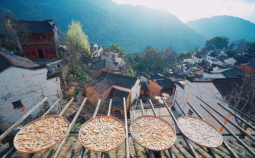婺源属于哪个市
