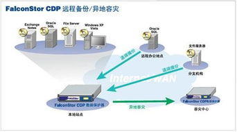 cdp是什么意思
