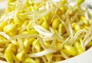 泡豆芽
