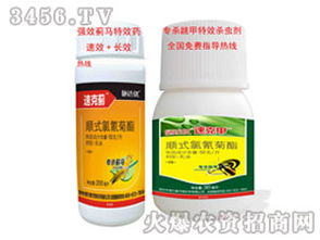 顺式氯氰菊酯
