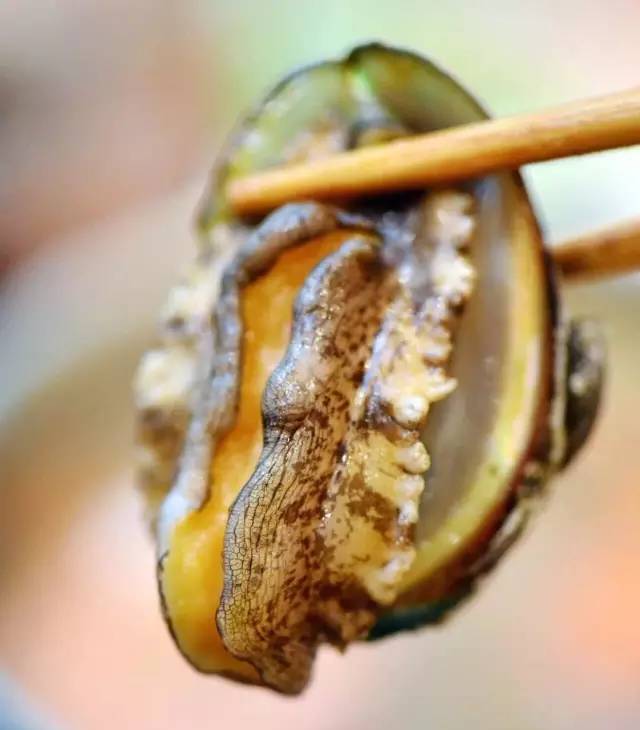 小鲍鱼的最佳吃法是什么?怎么做才好吃?
