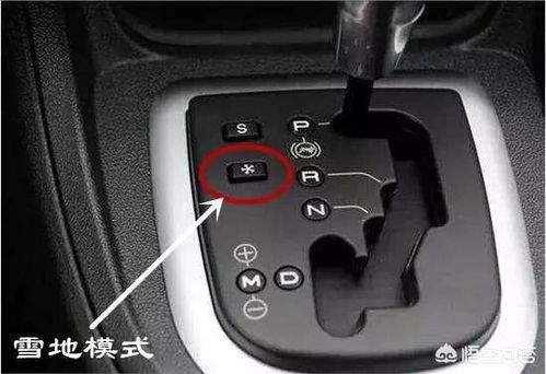 p档n档d档r档什么意思?