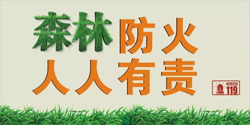 扑灭森林火灾的有效方法
