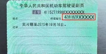 实习期扣6分会怎么样