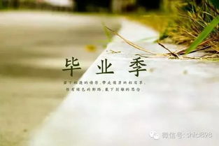 关于赠别之情的诗句