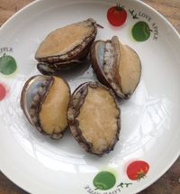 小鲍鱼
