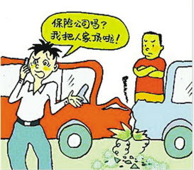 机动车损失保险买不买
