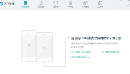 pp软件
