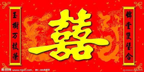 双喜到家是什么意思啊?