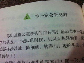 你一定会听见的 仿写