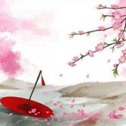落花时节又逢君的上一句