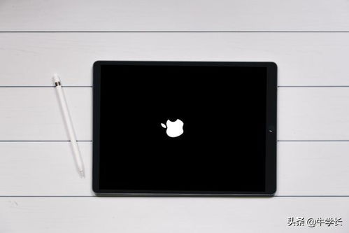 ipad 开机一直在白苹果界面