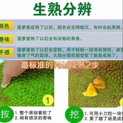 怎么判断菠萝蜜是否熟了