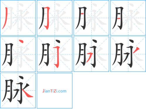 脉的多音字组词
