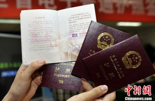 办理护照需要什么材料