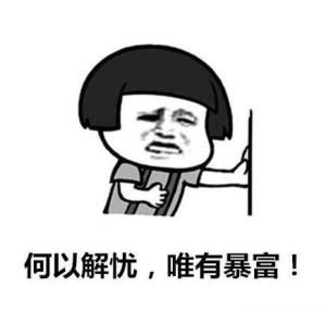 何以解忧唯有暴富图片
