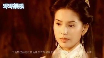 李若彤电影
