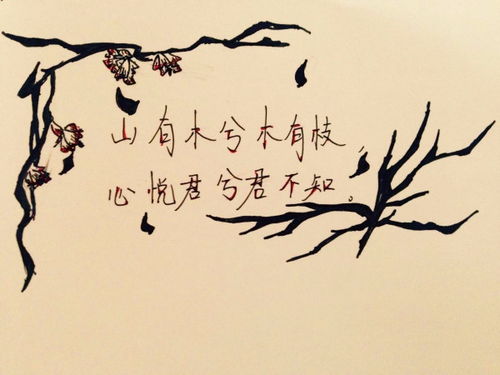 山有木兮木有枝啥意思
