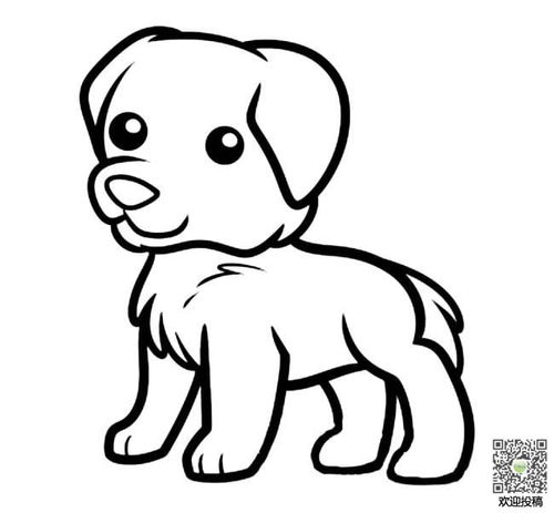 狗的简笔画
