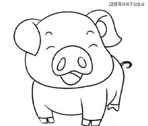 可爱小猪简笔画步骤