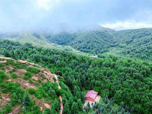 东岳什么山