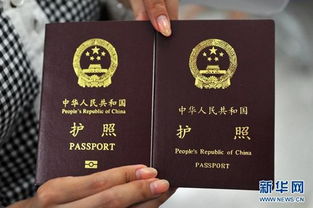 办理护照需要什么
