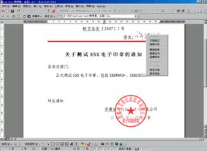 文件格式有哪些
