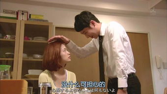金龟婿什么意思
