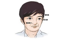 面相中额头高的人命运如何