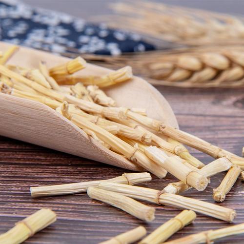中药材白茅根、白茅针