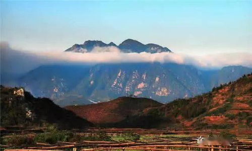 东岳是什么山
