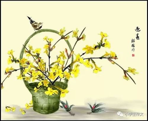 形容“迎春花”的词语有哪些?