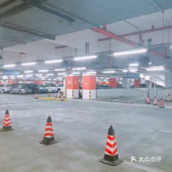 浦东国际机场停车
