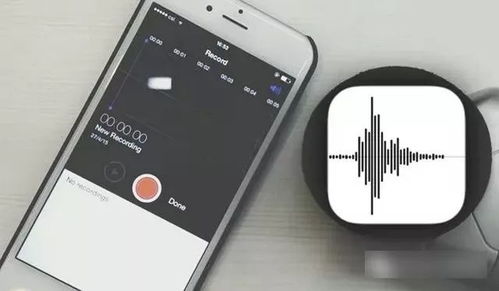 苹果手机怎么开录音功能