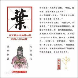 叶姓的来源和历史
