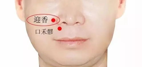 迎香准确位置图和作用及功效有哪些?