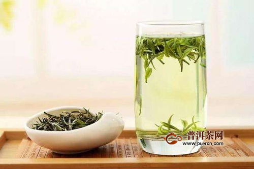 毛尖的功效与禁忌
