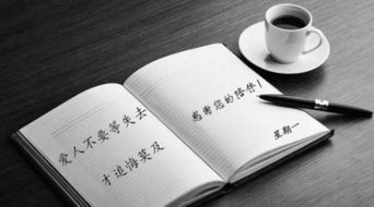 缘分使然 怎么理解