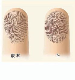 斗和簸箕是指什么?