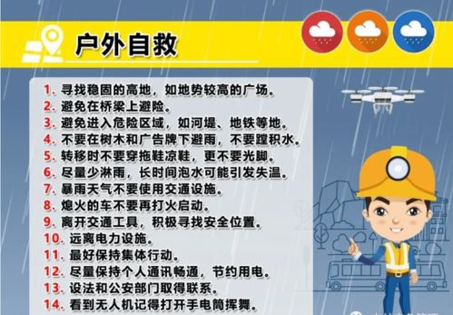 暴雨的拼音
