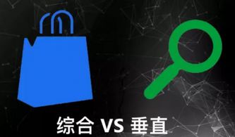 跨境垂直电商
